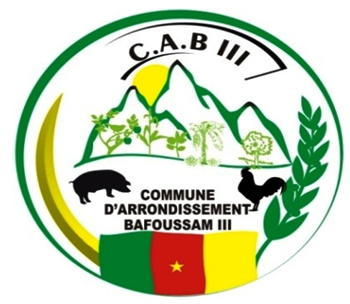 Partenaire 4